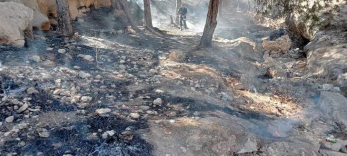 Incendie Oran_lespoir