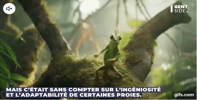 Capture d’écran 2024-01-09 à 23.38.33