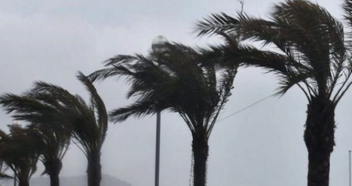 CREATOR: gd-jpeg v1.0 (using IJG JPEG v62), quality = 90