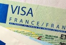 Visa Schengen France : Capago Algérie détaille le dossier requis pour 5 catégories sans RDV