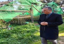 Oran: pour négligence grave, le wali limoge le directeur de l’EPIC « Oran-Vert »